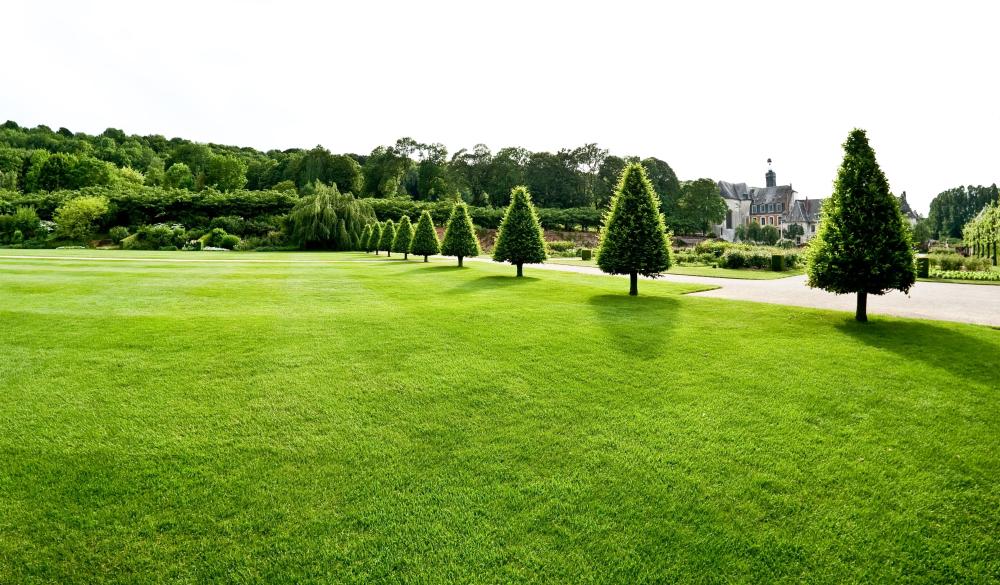 paysage